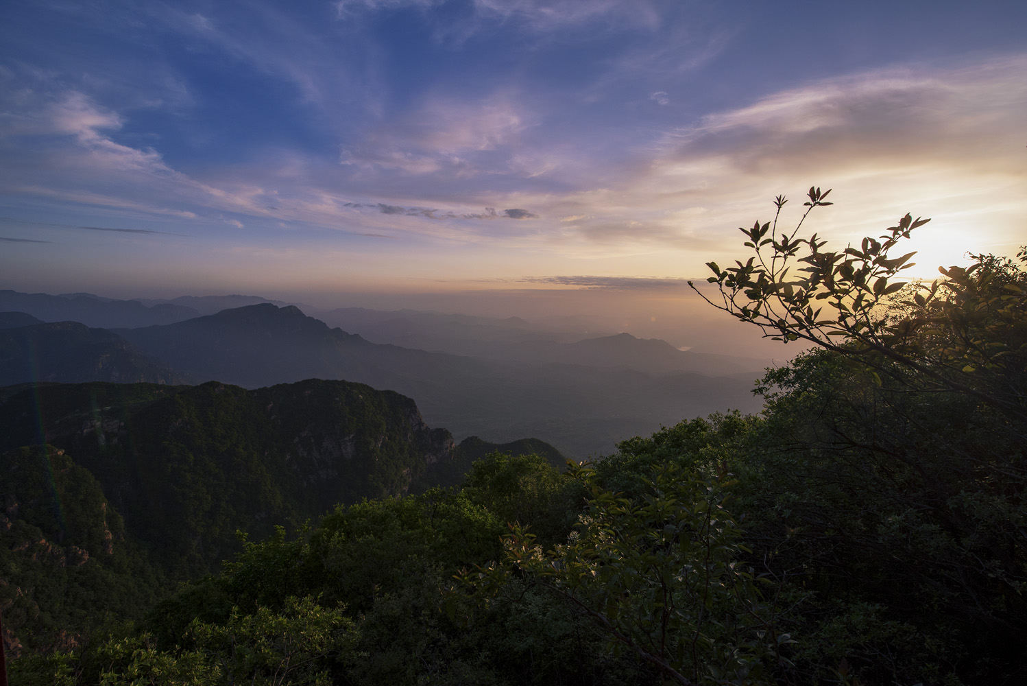 RAW_2517.jpg