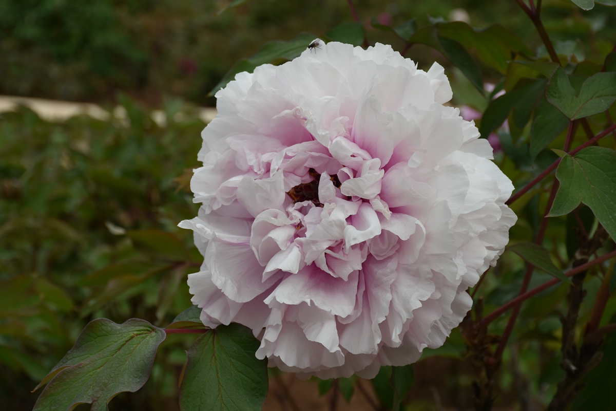 07