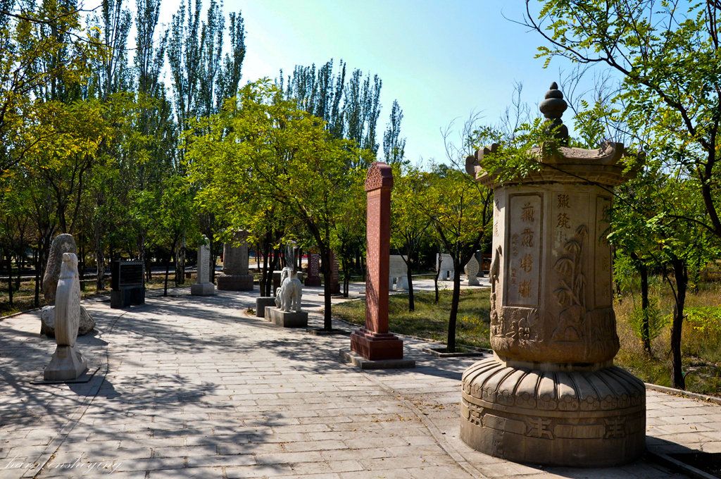 DSC_0490.JPG