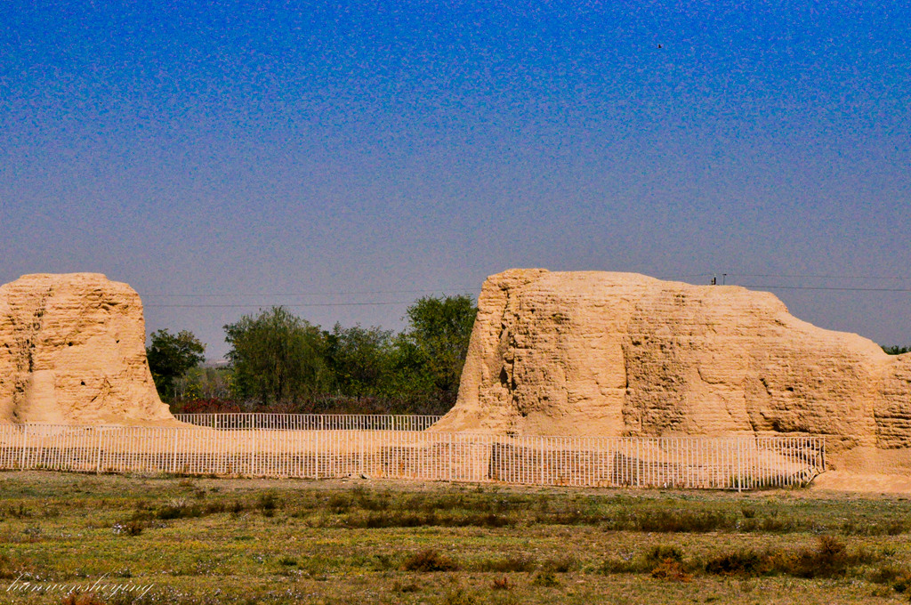 DSC_0502.JPG