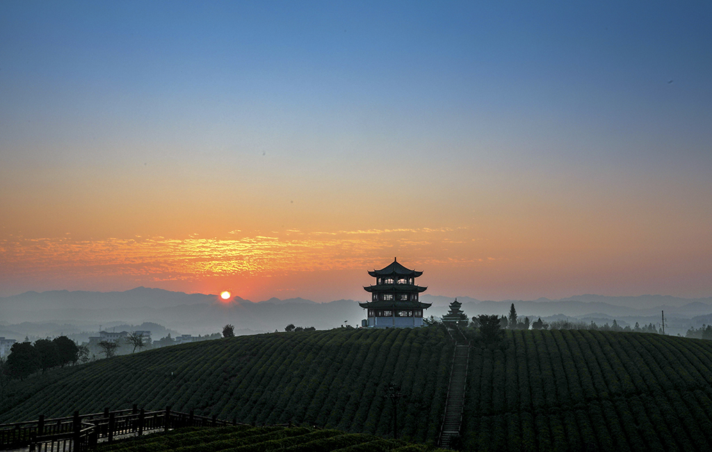 黎平桂花台茶场