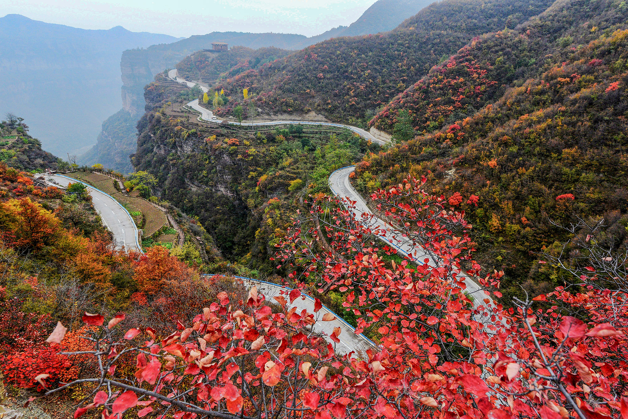 石红.15237169786D75024-70.jpg