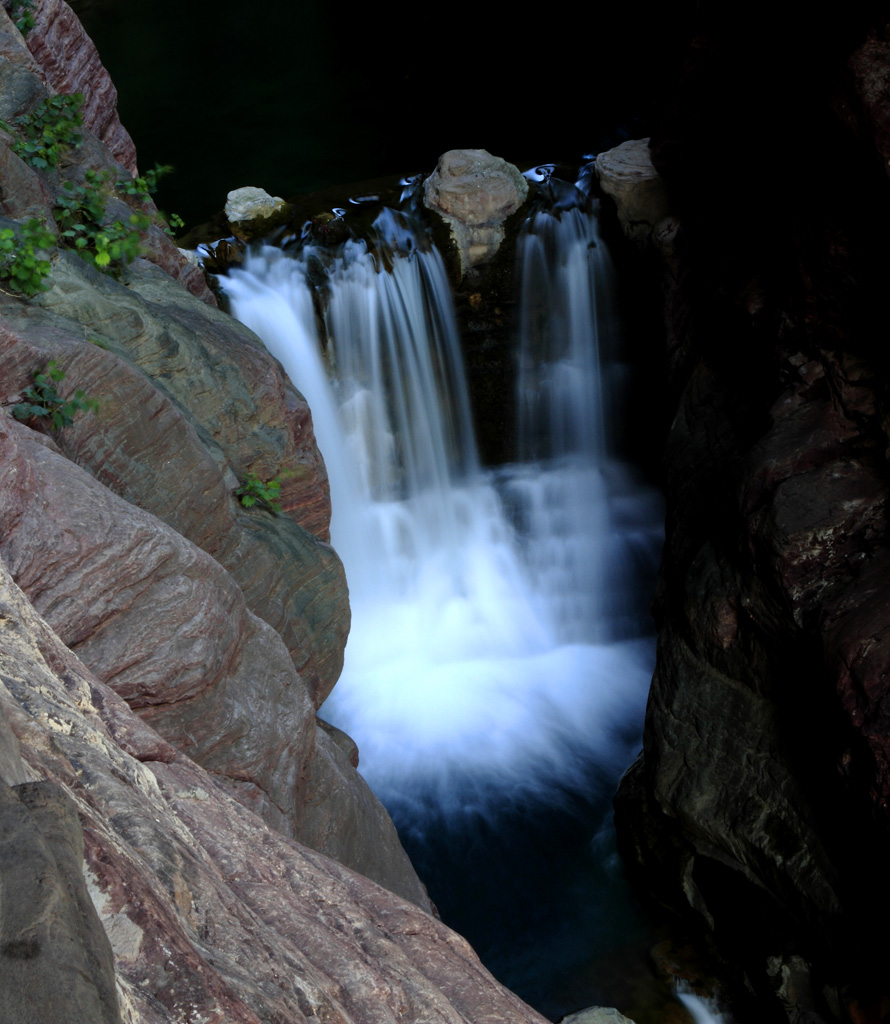 _MG_95322.JPG