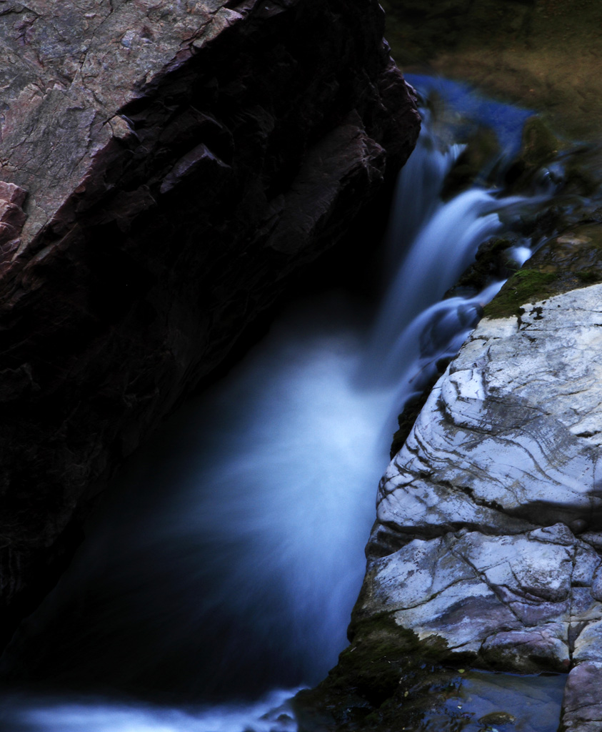 _MG_9557.JPG