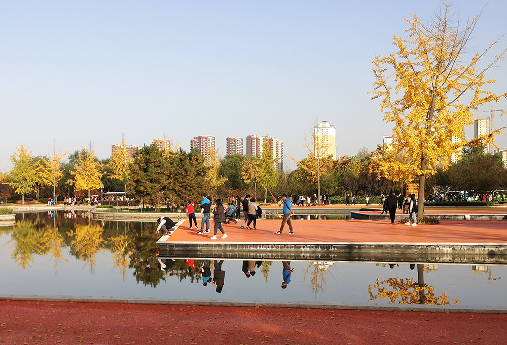 20201101_155818.jpg