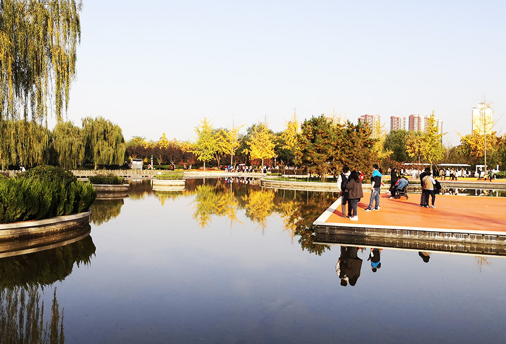 20201101_155824.jpg