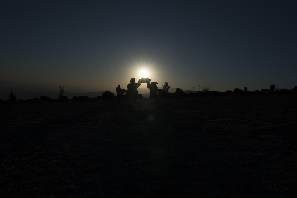 RAW_7971.jpg
