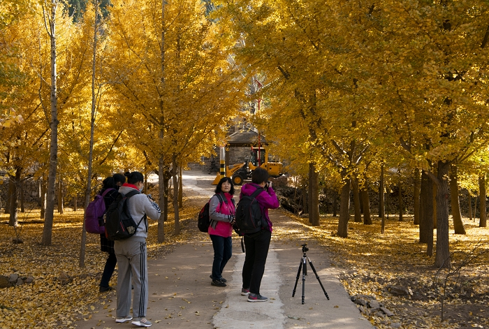 微信图片_20201107212440副本.jpg