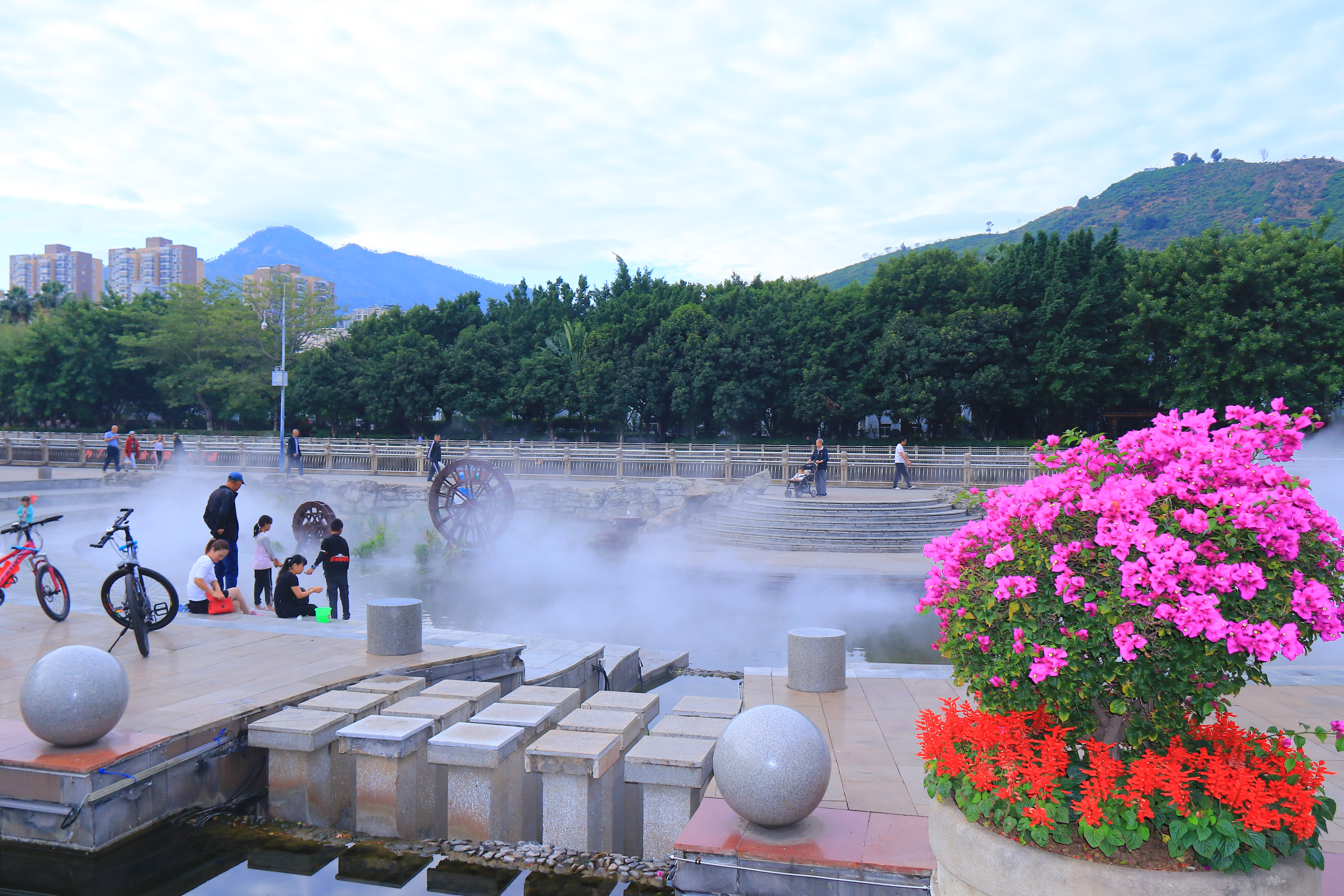 IMG_4825.jpg