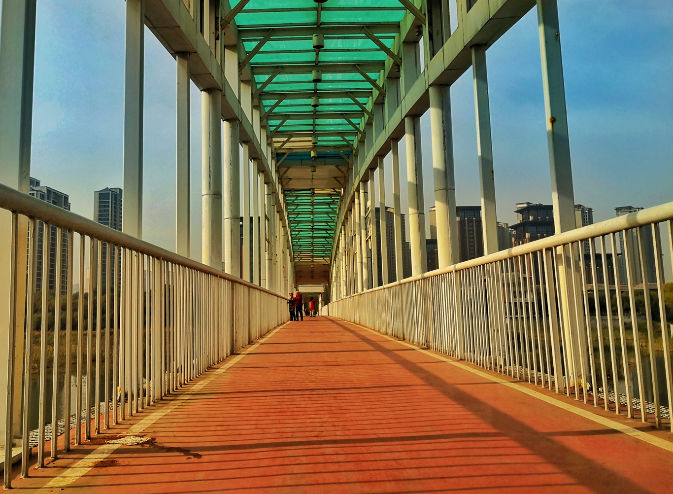 IMG_20201103_093541-01.jpeg