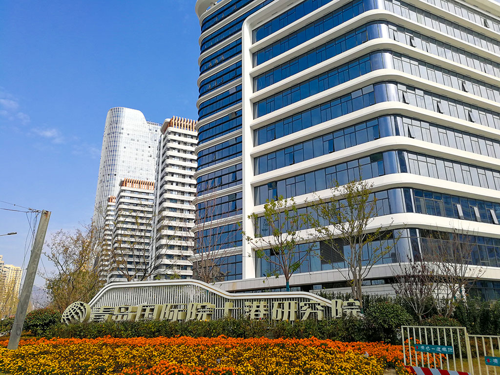 IMG_20201106_110357.jpg