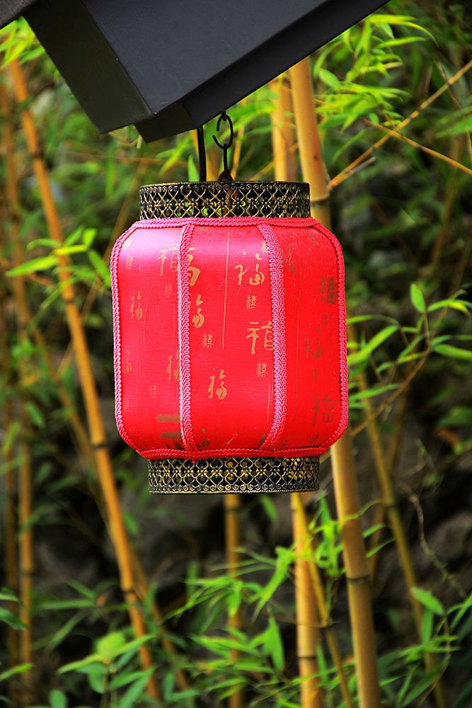 IMG_0204_副本.jpg