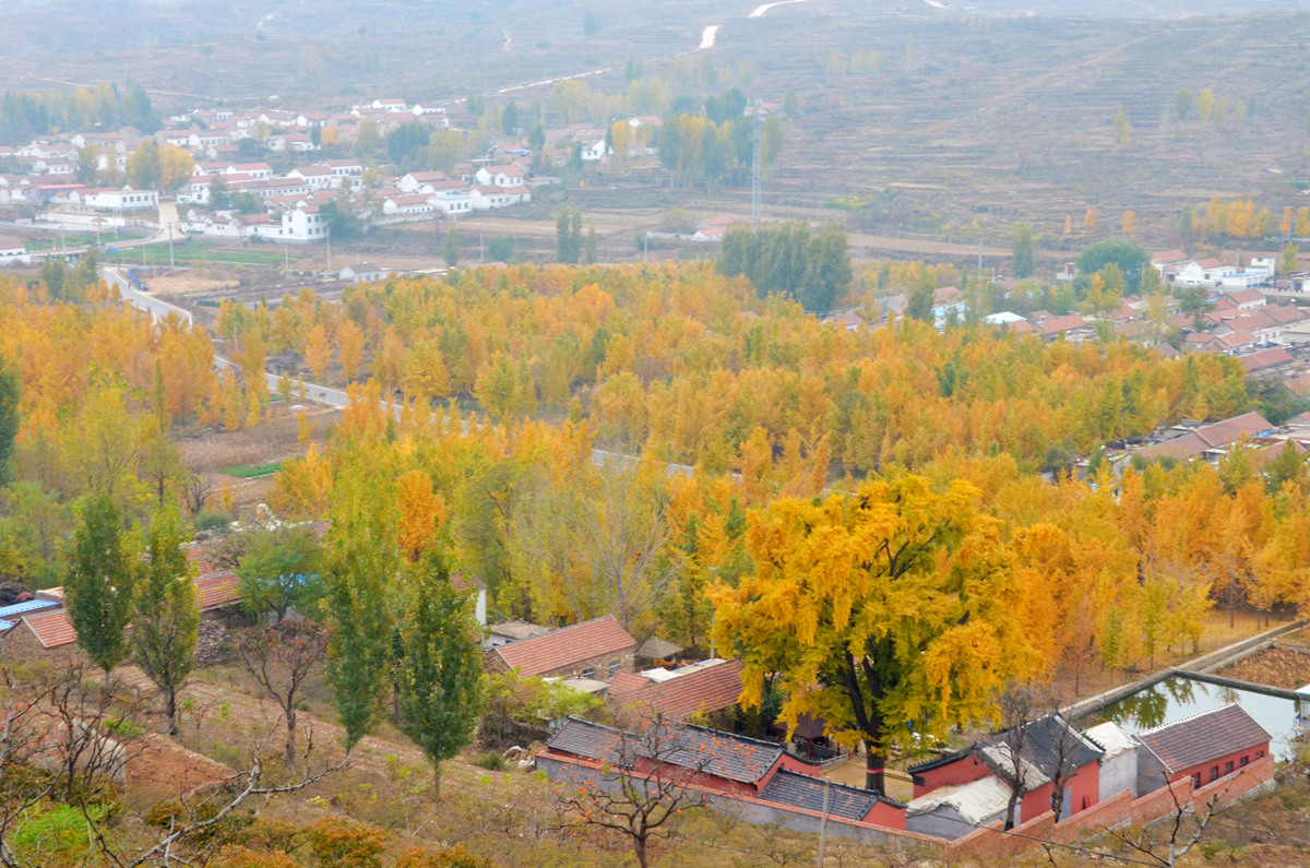 DSC_0051_副本.jpg