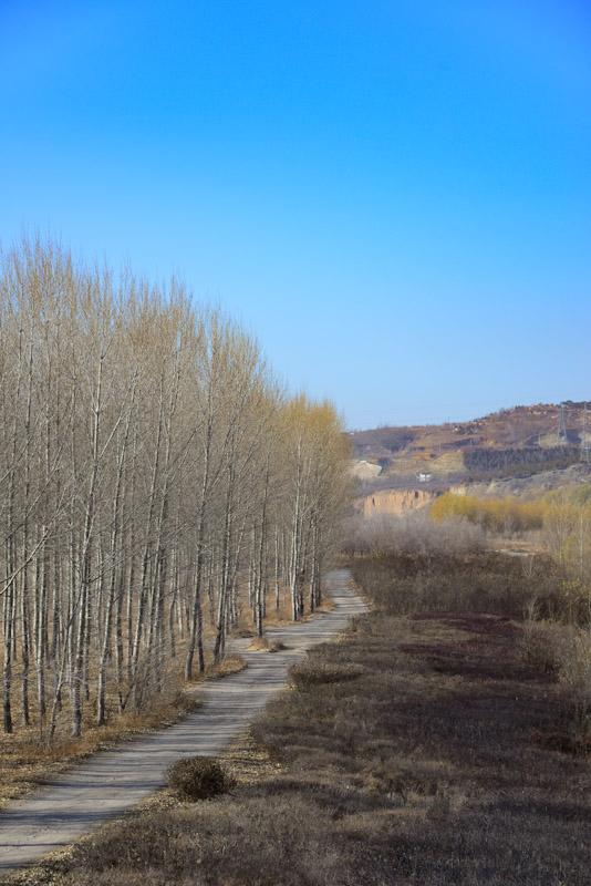 PSX_20201111_144521.jpg