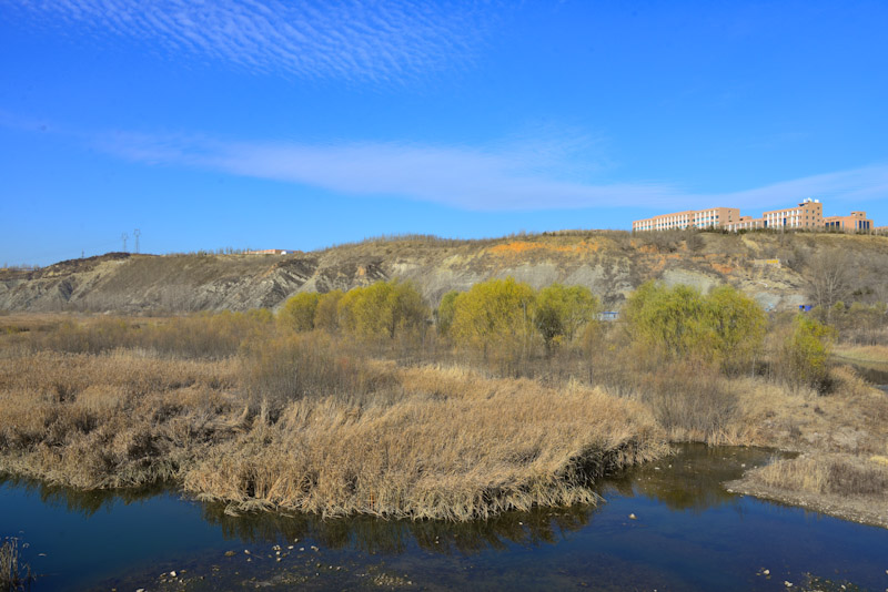 PSX_20201111_144547.jpg