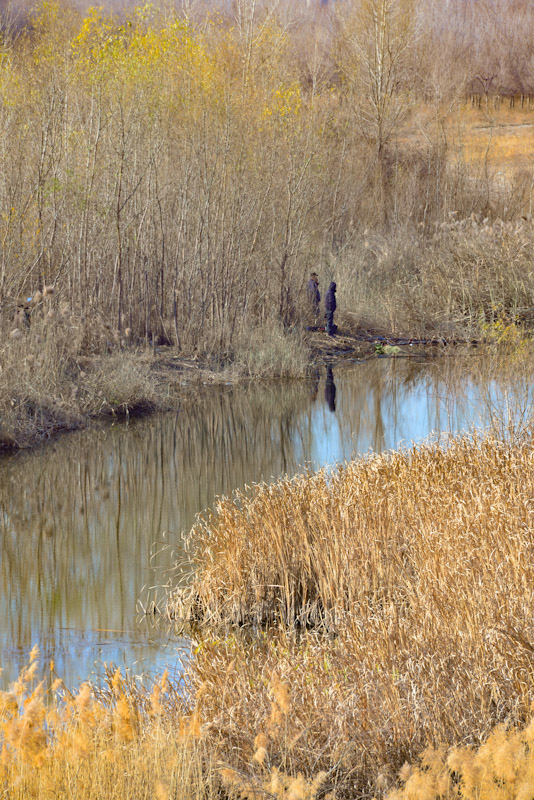 PSX_20201111_144620.jpg