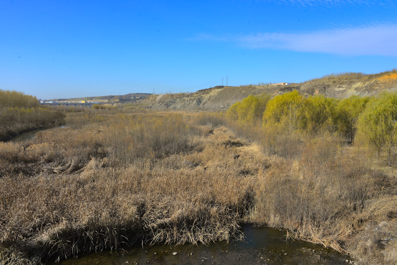 PSX_20201111_144656.jpg