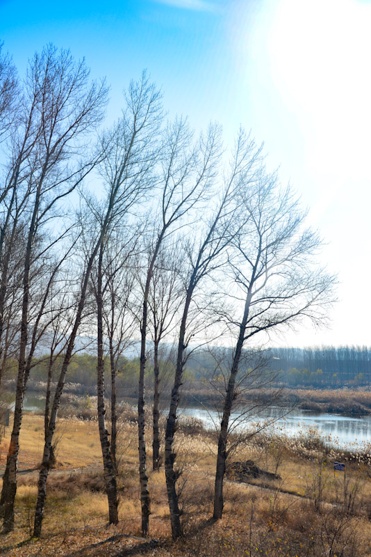 PSX_20201111_144837.jpg