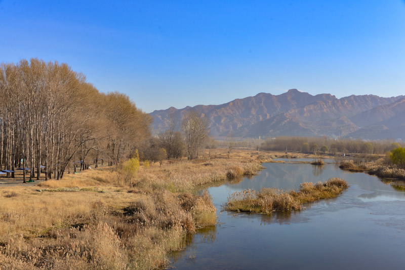 PSX_20201111_144927.jpg