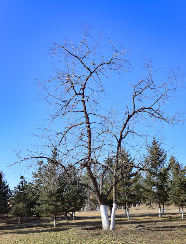 PSX_20201111_161403.jpg