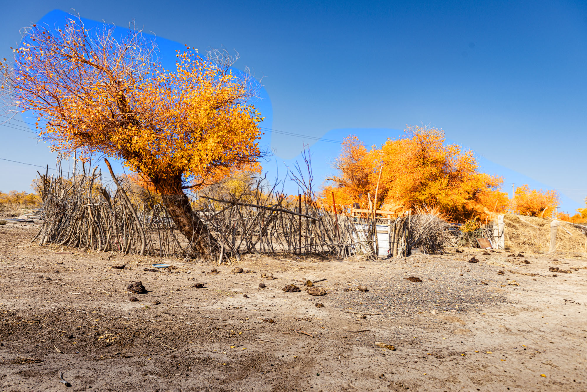 _DSC7369-1.jpg