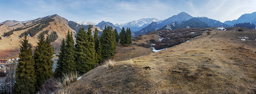 a377.jpg
