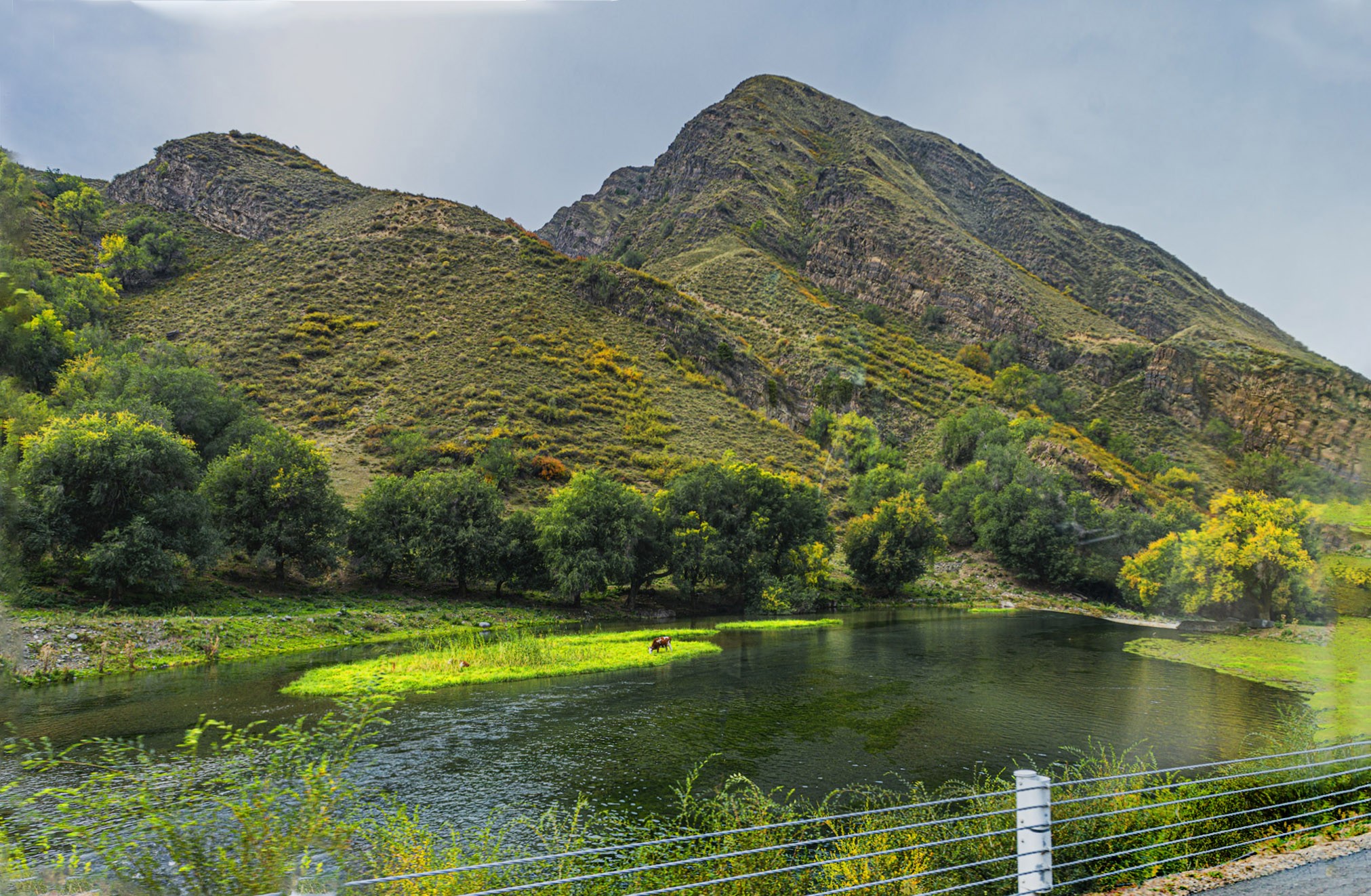 _DSC6291-1.jpg