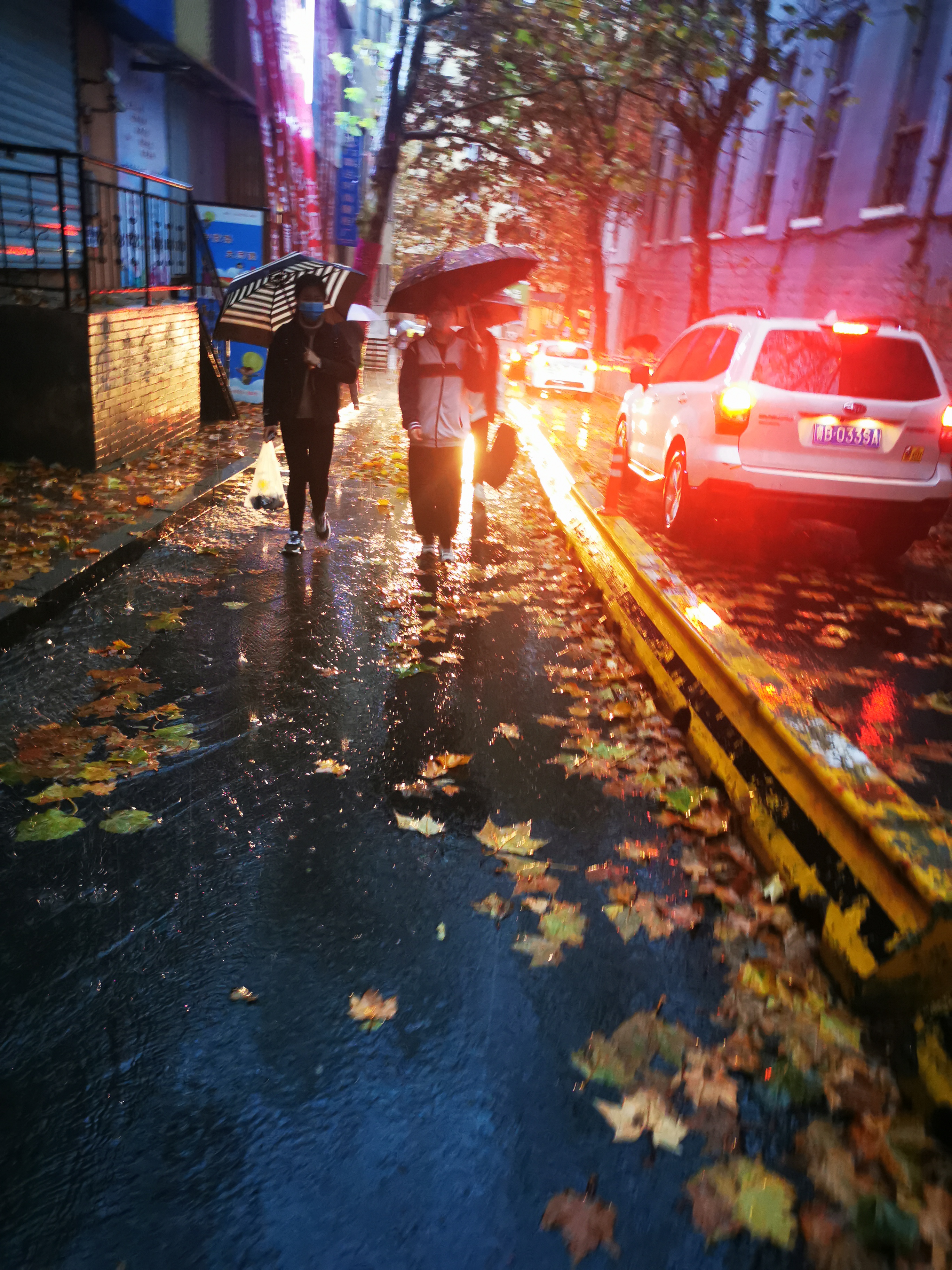 IMG_20201118_071135的副本.jpg