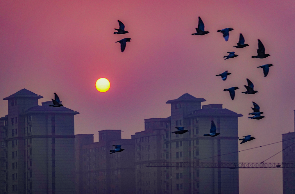清晨.jpg