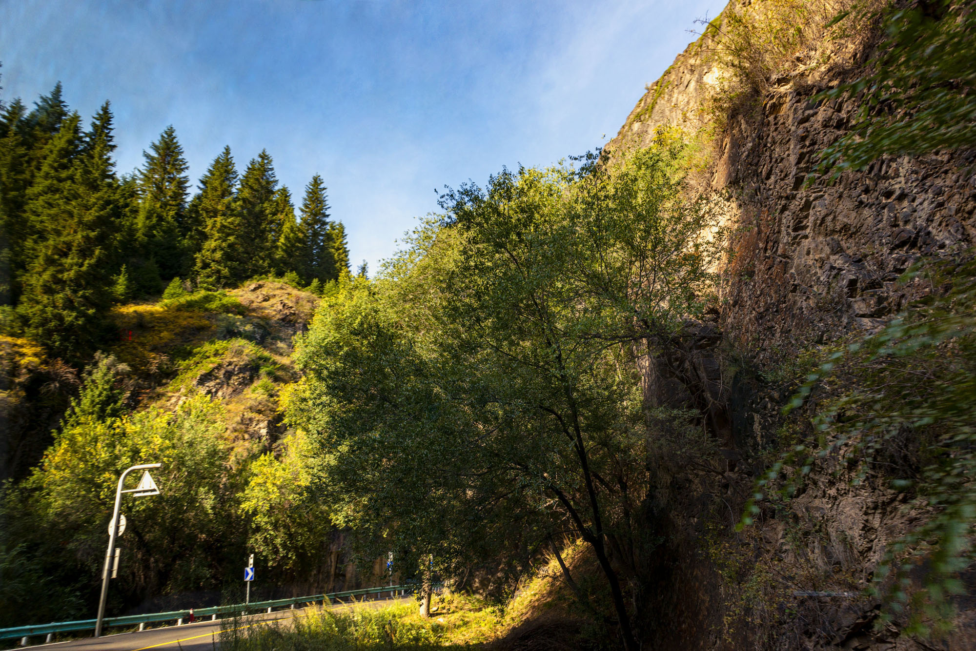 _DSC6103-1.jpg