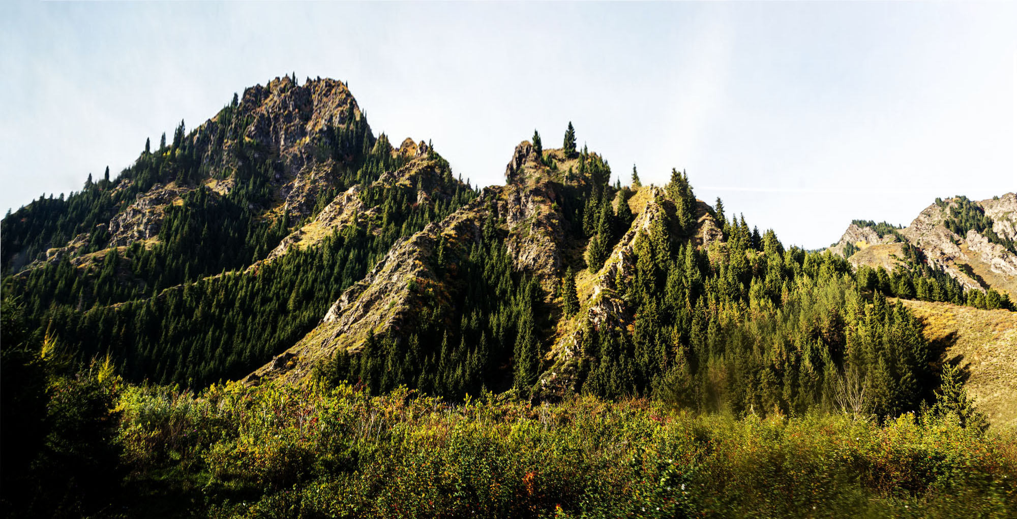 _DSC6131-1.jpg
