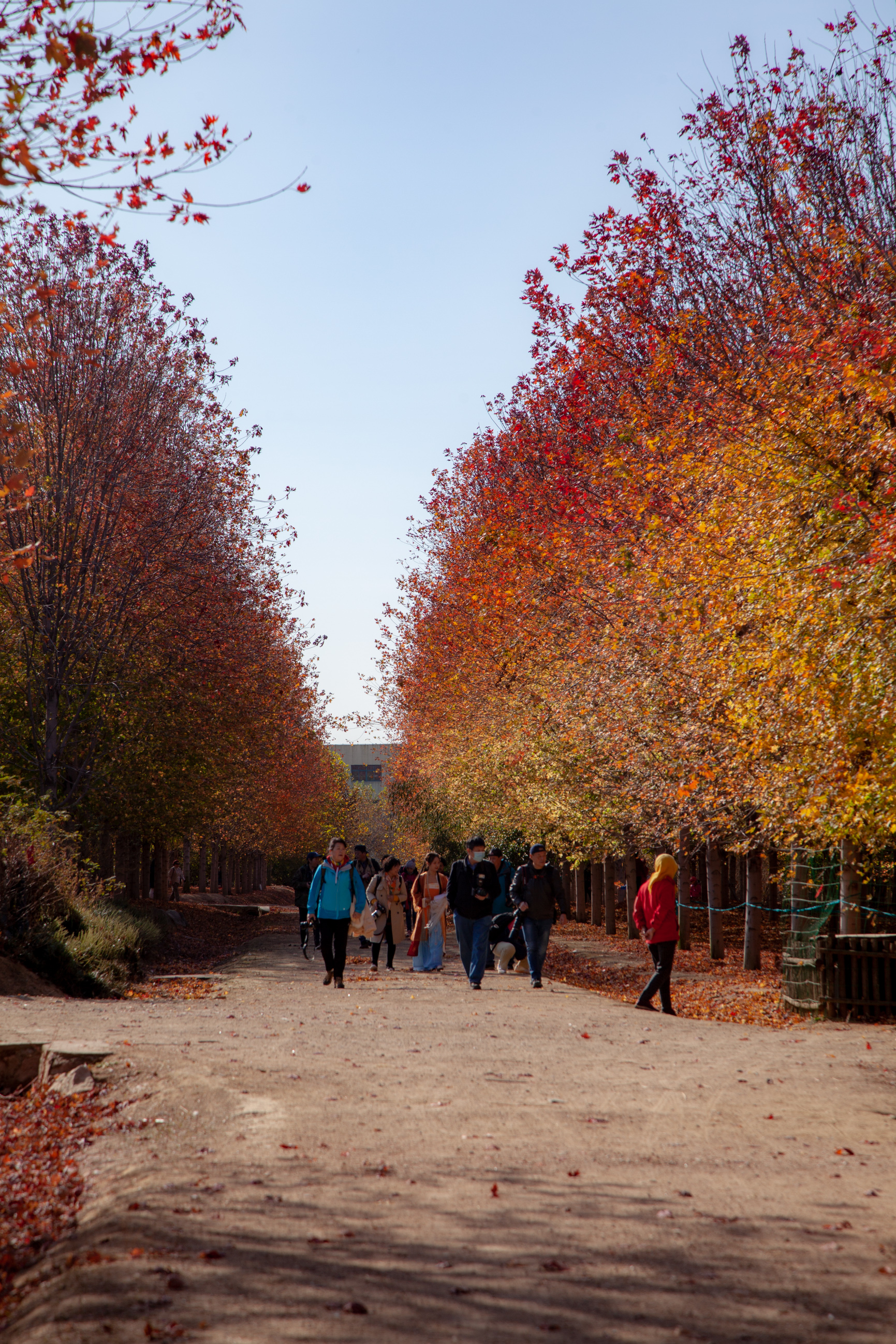 _MG_0710.jpg