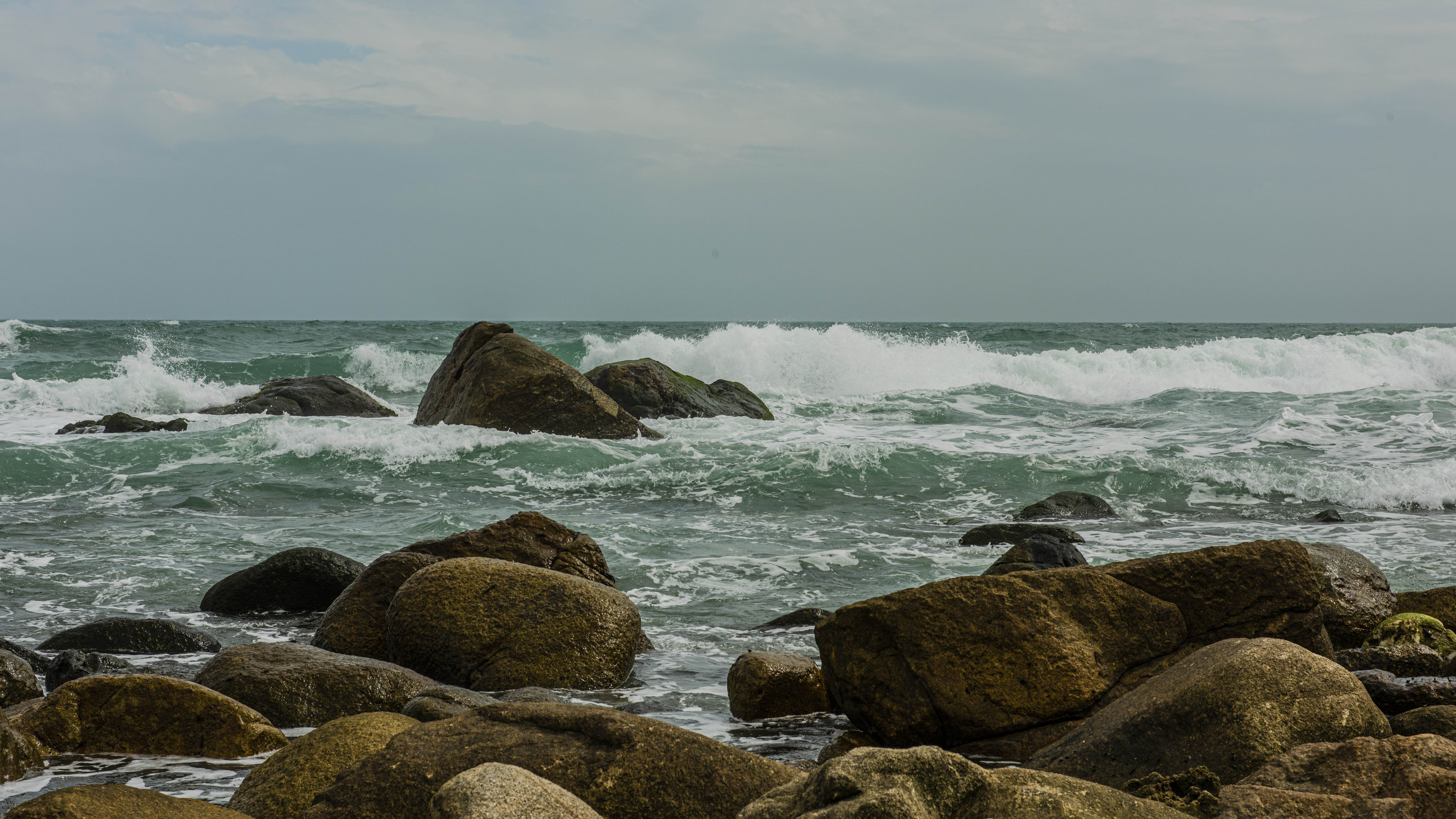 11DSC_4269.jpg