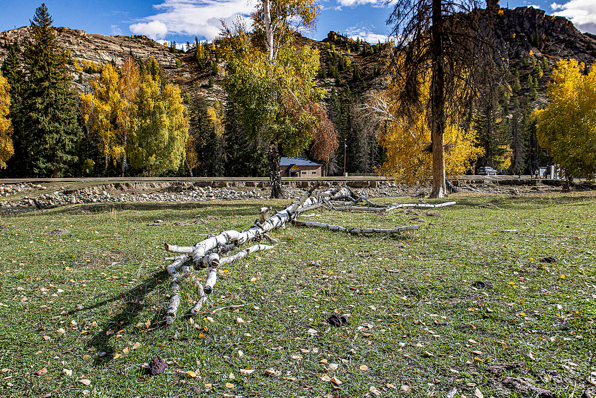 _DSC7824-1.jpg