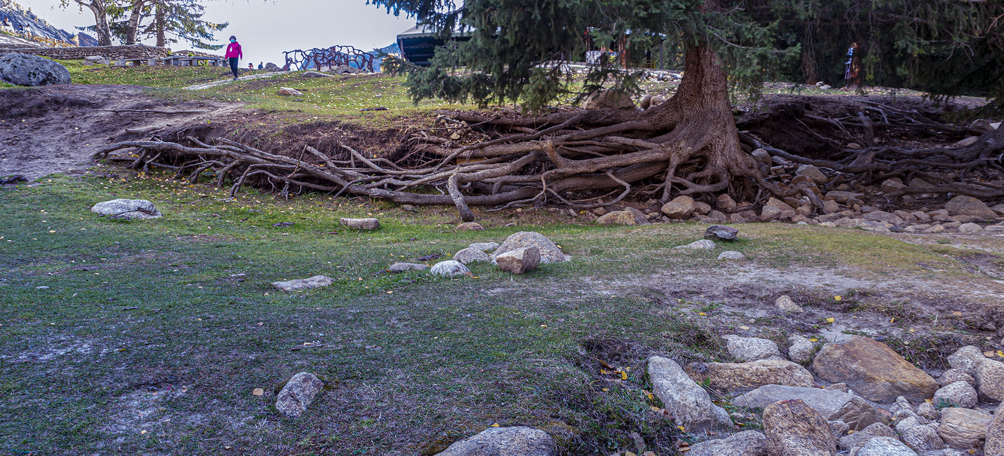 _DSC784-6-1.jpg