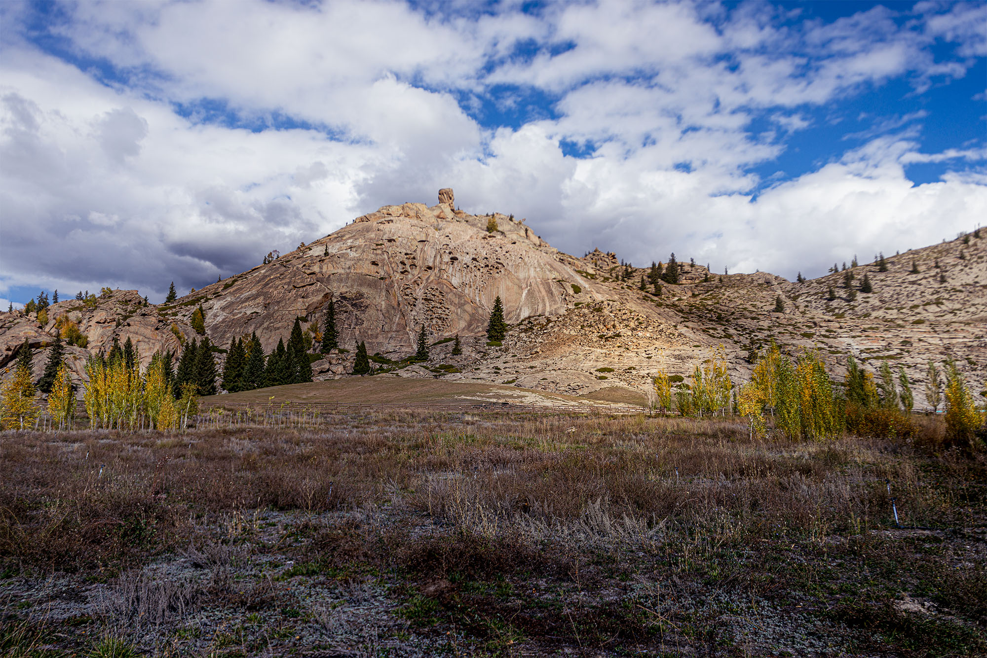 _DSC7808-1.jpg