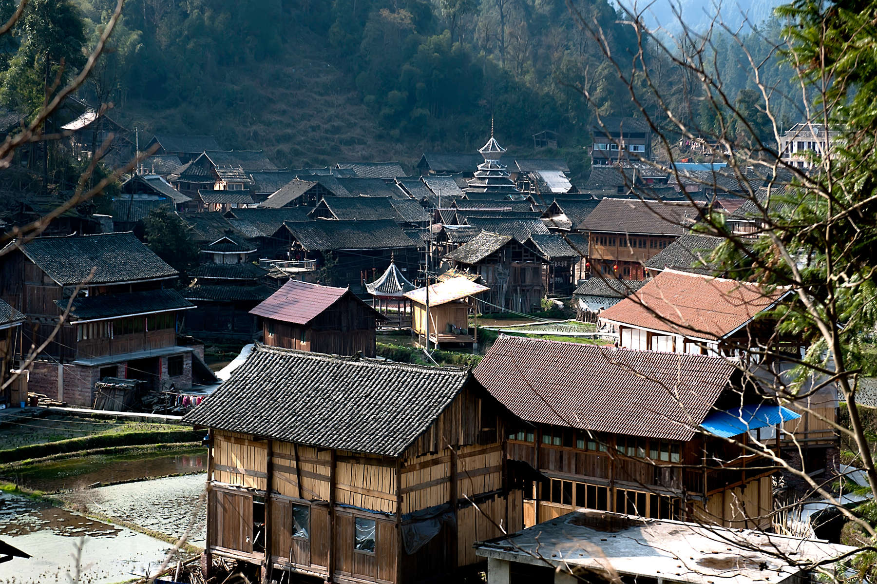 蒲洞村