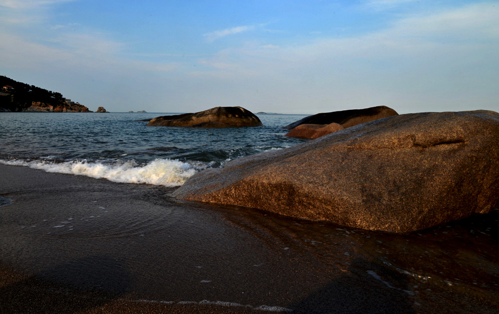 DSC_8229.JPG