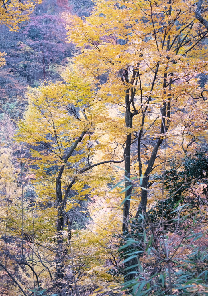 3_DSF4370.jpg