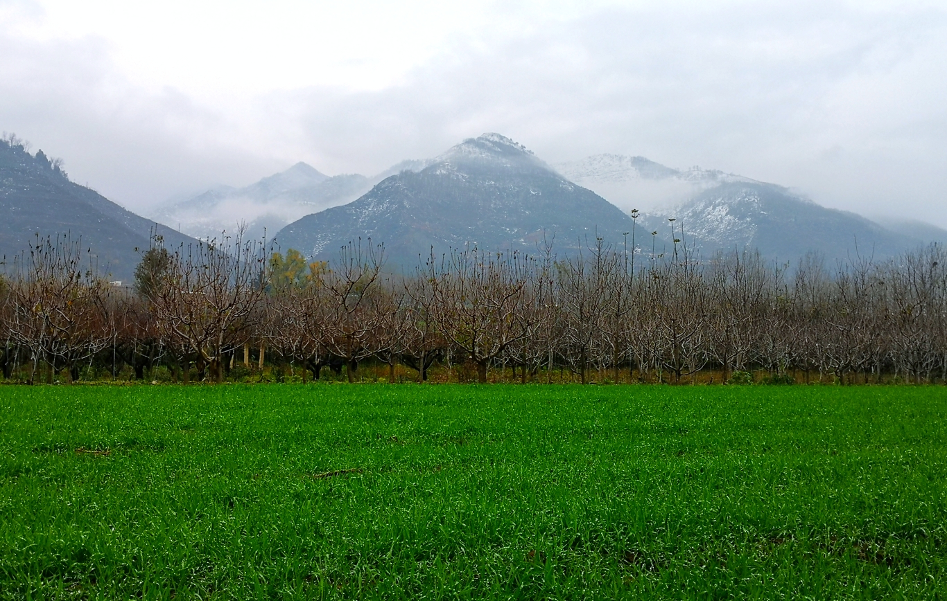 IMG_20201125_151115-01.jpeg