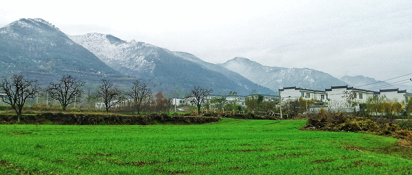 IMG_20201125_143703-02.jpeg