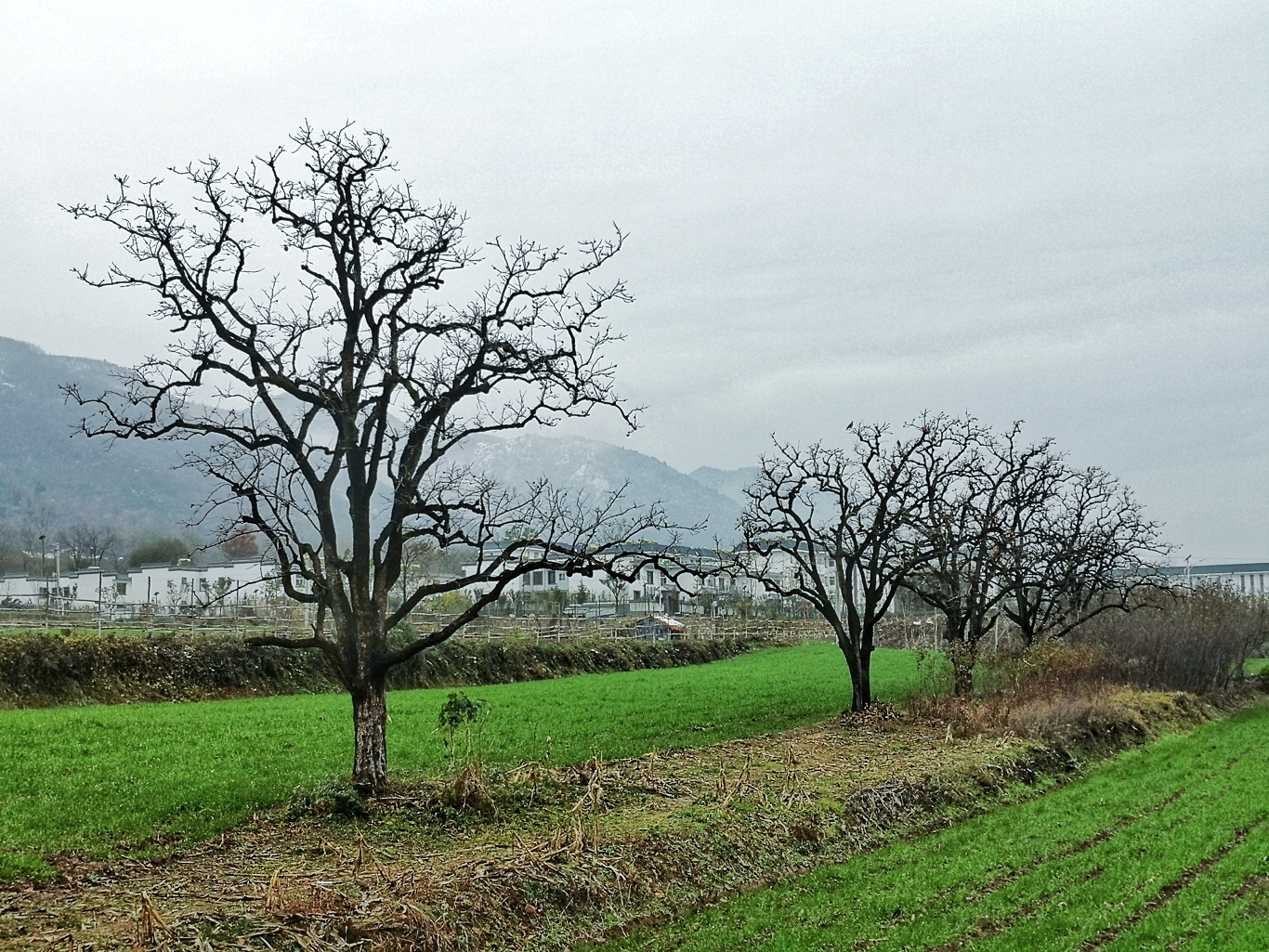 IMG_20201125_143318-01.jpeg