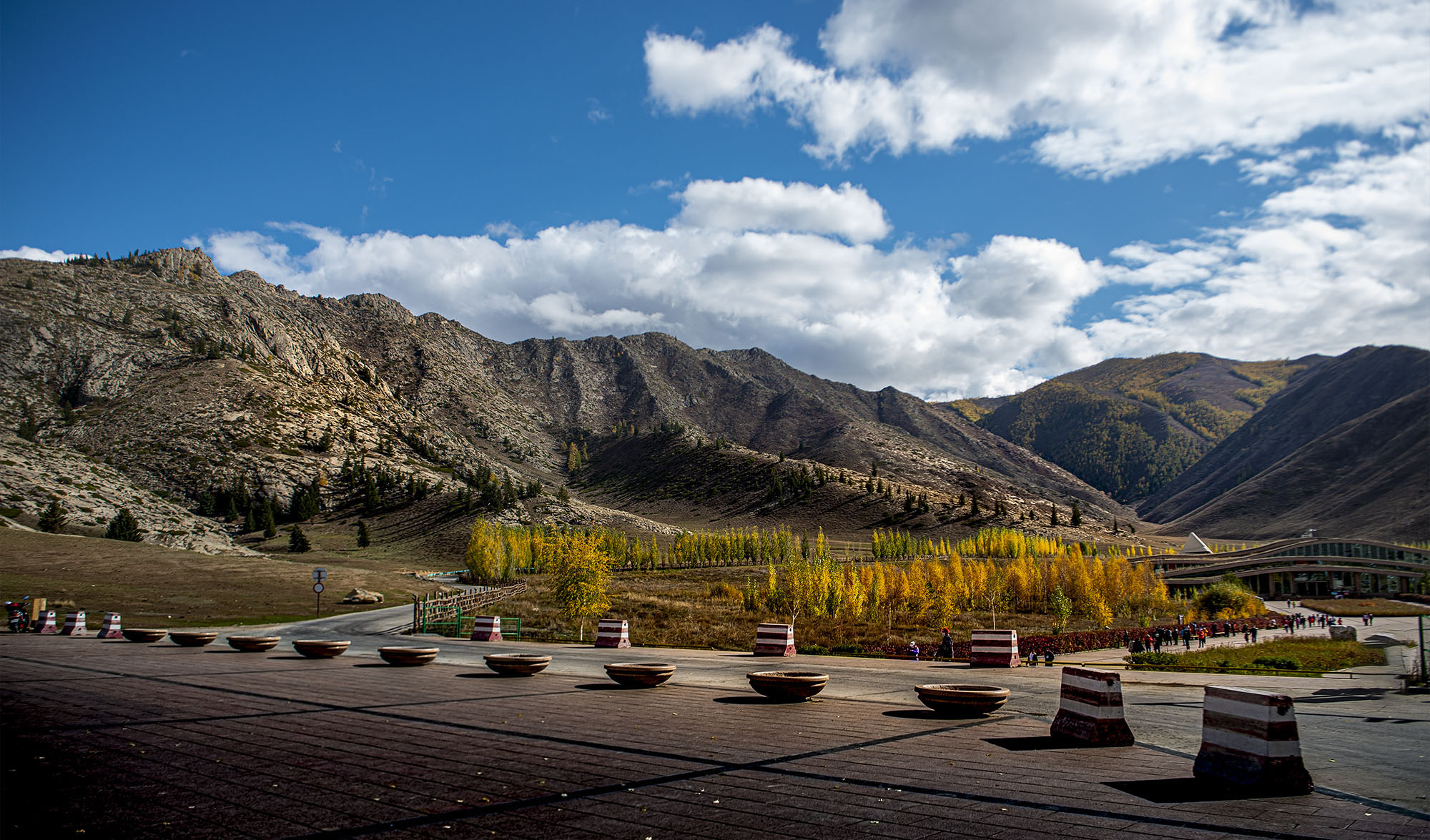 _DSC7817-1.jpg