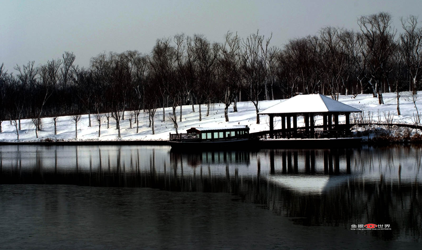 DSCF6884.JPG