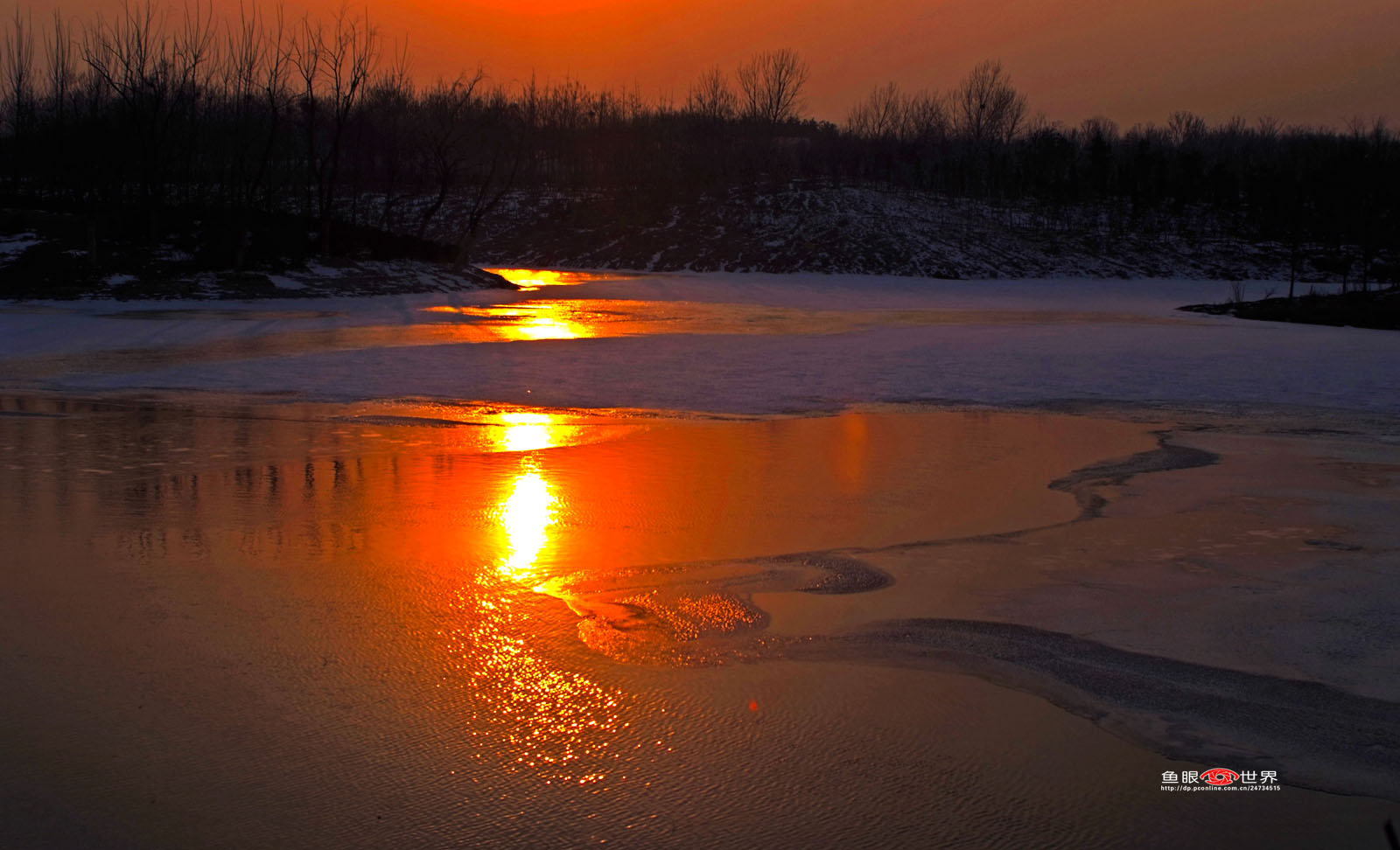 DSCF1549.JPG