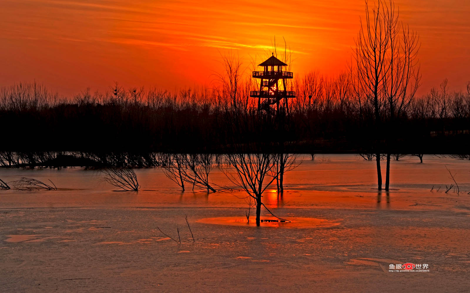 DSCF2688.JPG