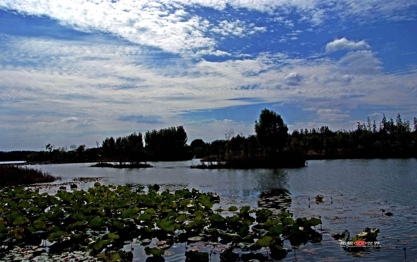 DSCF7151.JPG