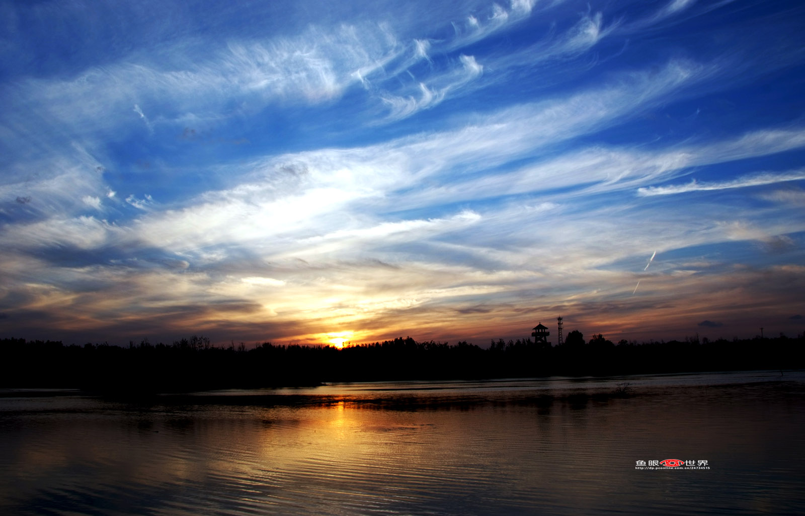 DSCF8685.JPG