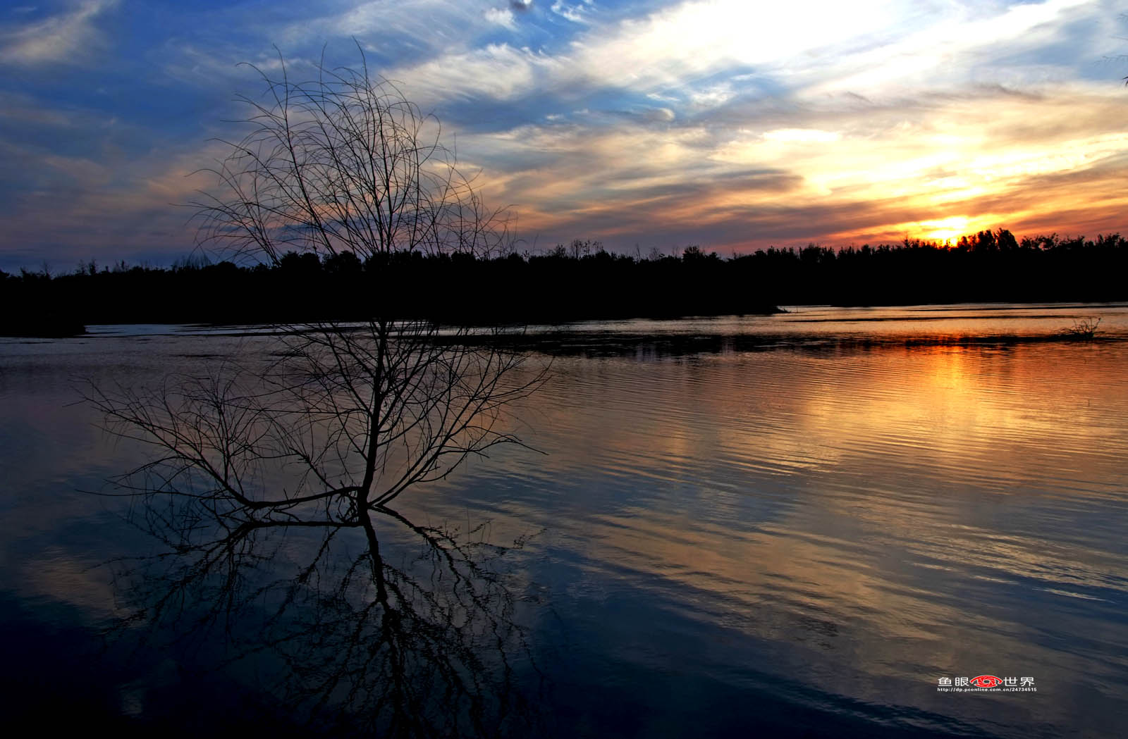 DSCF8690.JPG