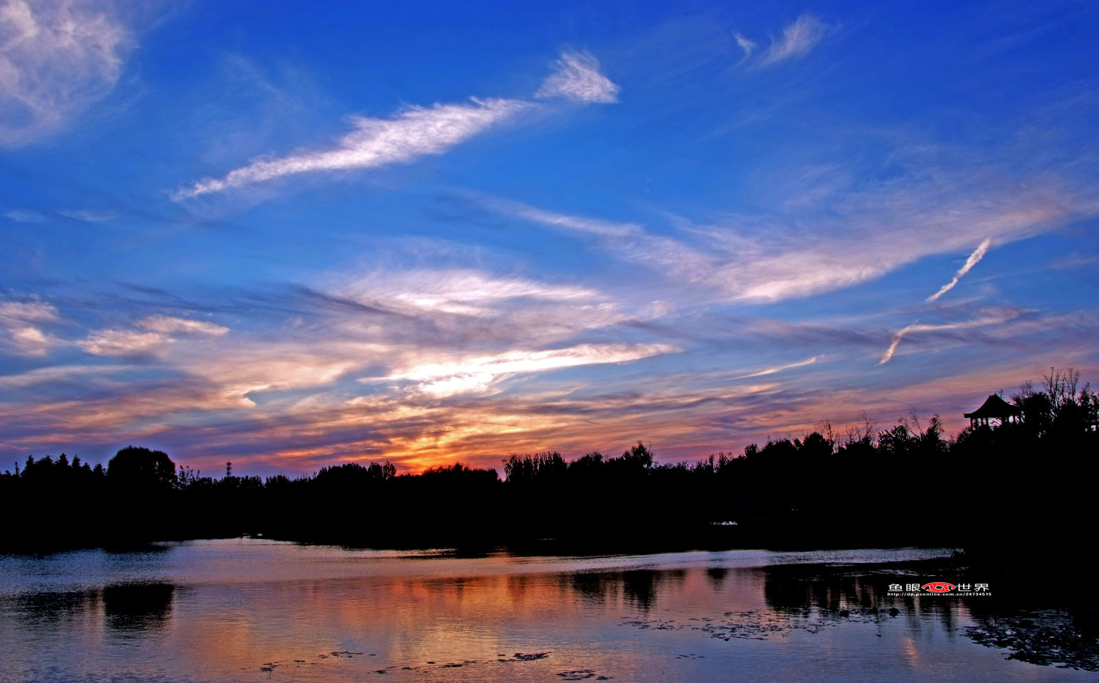 DSCF8710.JPG